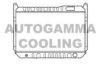 NISSA 2140007P02 Radiator, engine cooling